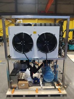 Machine à glace en tubes de 1 tonne, 1000 kg/jour, en acier inoxydable 304, pour usine de glace et entreprise de glace, tension 220V/60HZ