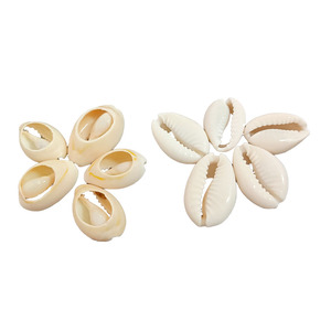 Concha y concha Natural pura con apertura dorada, Mini concha de cauri dorada, agujero de joyería, venta al por mayor - Product Image 1