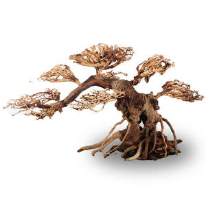 ต้นไม้โมสตกแต่งตู้<span class=keywords><strong>ปลา</strong></span>สมัยใหม่ ไม้ลอยน้ำ ซัมเบิลวูด กิ่งไม้ไทย หินมังกรเขียว รูปทรงต้นไม้ธรรมชาติ - Product Image 1