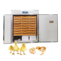 Incubateur automatique d'œufs de volaille pour poulets, canards, oies, cailles, neuf avec moteur 220V