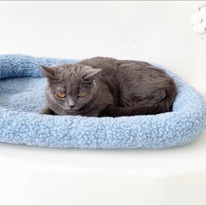 Cat Bed Oval Faux Fur Pet <b>Mat</b> Small Medium <b>Large</b> For Dog And Cat Winter Warm Comfortable Sleeping Pad Blue Pink Green Khaki - Product Image 1