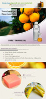 Oranges fraîches biologiques Meilleur prix Vente en gros Huile d'orange douce en stock Agrumes frais
