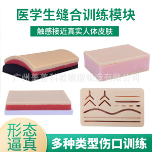 Modèle de simulation de peau en forme d'arc pour l'incision chirurgicale et la suture, modèle d'entraînement à la suture cutanée pour l'enseignement médical - Product Image 2