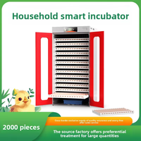 Incubateur d'oeufs industriel 400-10000 avec contrôleur de température et d'humidité pièces de rechange pour poulet 220V état neuf