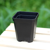 Macetas Cuadradas de Plástico Negro, Mini, Gruesas y Coloridas, para Suculentas y Plántulas, Uso en Hogar y Oficina, Venta al Por Mayor