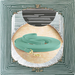 Hochwertiges Luxus-Nylon-Hunde halsband mit festem Muster Wasserdichte 1,5 cm breite PVC-Kunststoff-Hunde leine Leicht zu reinigender Schmutz Personal isiert - Product Image 3