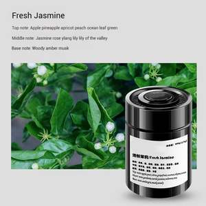 Aromatizante Sólido para Vehículo, Perfume <span class=keywords><strong>de</strong></span> Alta Gama para Automóvil, Aromaterapia para Mujeres Embarazadas y Bebés - Product Image 2