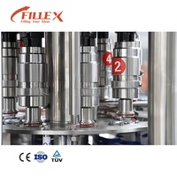 Machine de remplissage automatique de bouteilles de jus de fruits 1000-5000 BPH, ligne de production haute efficacité pour le remplissage de liquides et de jus de fruits