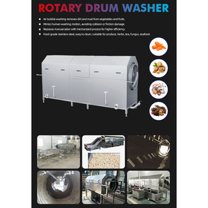Éplucheuse et laveuse industrielle à rouleaux pour légumes racines : pommes <span class=keywords><strong>de</strong></span> <span class=keywords><strong>terre</strong></span>, gingembre, racine <span class=keywords><strong>de</strong></span> lotus, papaye et patate douce - Product Image 5