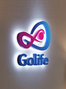 Custom 3D Raised LED <b>Illuminated</b> Letter Sign Outdoor Business Storefront Name Logo Retail Weatherproof Channel Sign - Product Image 3