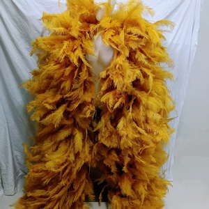 Magnifique guirlande de plumes d'autruche épaisses et moelleuses, teintes, de 3,5 mètres, pour spectacle de carnaval, fête dansante, costume - Product Image 2