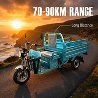 Tricycle de transport électrique 3 roues 1000W avec caisse de 1m*1.5m, pneus tout-terrain 40km/h, robuste pour usage agricole et minier