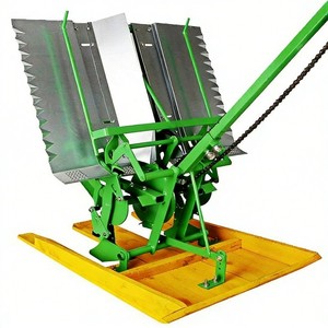 Macchina Seminatrice <span class=keywords><strong>per</strong></span> Riso e Confezione di Semi di Riso, <span class=keywords><strong>Tutto</strong></span> il Necessario <span class=keywords><strong>per</strong></span> Iniziare la Stagione di Coltivazione del Riso. - Product Image 3