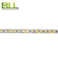 SMD2835 120LED IP65 DC12 Volt 3000K blanco cálido solo color inteligente Flex Led Strip Light