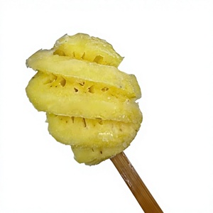 Rodajas de Piña Congeladas en Palito, IQF, Variedad Dulce MD2, Empaque a Granel para Venta Minorista - Product Image 1