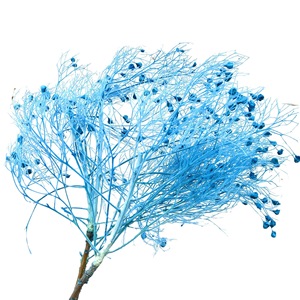 Ramo de Flores Secas de Hierba de Ensueño Azul Preservada, Arreglo Floral Eterno Independiente para Decoración de Bodas, Hogar y Eventos - Product Image 1