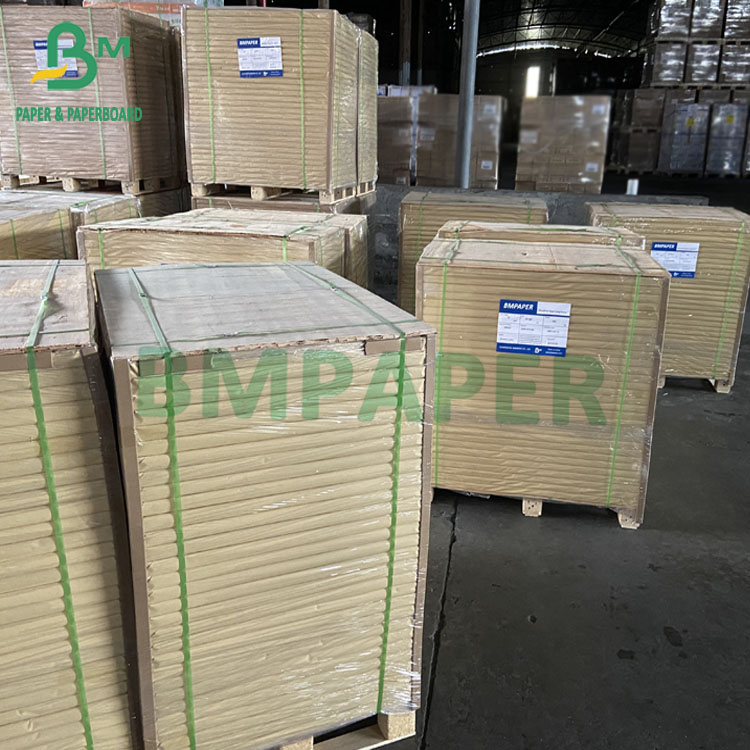 Matte Coated C2S Glossy Paper 80G 90G 100G 115G Size 635mm X 900mm