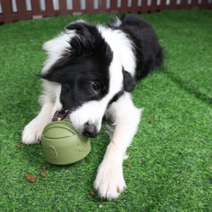 Jouets à mâcher pour chiens écologiques et design, en forme d'os, jouets interactifs en caoutchouc pour animaux de compagnie avec son couineur - Product Image 2
