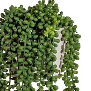Plante suspendue artificielle de type Gasper Sedum, haute simulation, environ Pot en plastique vert foncé de 55 cm, 11x13 cm, pour usage intérieur - Product Image 4