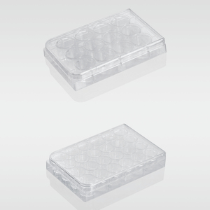 Ps pelat sumur Lab transparan bahan Ps plastik sekali pakai <span class=keywords><strong>6</strong></span> Well/12 Well/24 Well <span class=keywords><strong>Cell</strong></span> <span class=keywords><strong>Culture</strong></span> <span class=keywords><strong>Plate</strong></span> - Product Image 4
