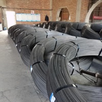 3mm 4mm 5mm 6mm 7mm 82B 77B Fabricants nervuré 1770MPA 1860MPA 1670MPA résistance à la traction PC béton précontraint fil d'acier