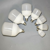 Bombilla LED Recargable Tipo T de Aluminio Fundido a Presión de 170-265 V, 30 W, 40 W, 50 W