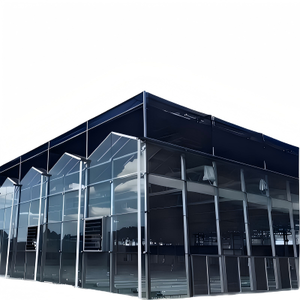 <span class=keywords><strong>Serre</strong></span> en verre pour la culture du chou frisé, conception résistante aux climats frais et riche en nutriments, légumes sains - Product Image 1
