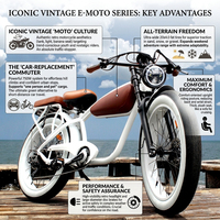 Bicicleta Eléctrica Vintage Personalizada de Alta Velocidad de 500 W con Neumáticos Gruesos para Programas de Marca OEM