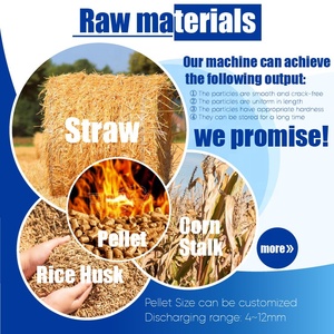 Richi 30 năm kinh nghiệm nhà cung cấp máy nghiền viên sinh khối tùy chỉnh dòng máy làm viên rơm - Product Image 2