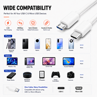 Kabel Type-C ke Micro USB Langsung dari Pabrik, Pengisian Cepat 2.4A, Sinkronisasi Data 480Mbps dengan Kemasan Kustom OEM ODM