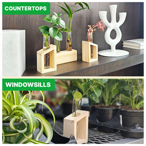 แท่นเพาะพันธุ์พืช 3 ชิ้น ทำจากไม้ พร้อมหลอดทดลองแก้ว 4 หลอด แจกันสำหรับปลูกพืชแบบไฮโดรโปนิกส์ - Product Image 5