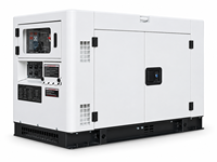 15kVA 20kVA 25kVA 50Hz 60Hz Geräuscharmes Dieselaggregat mit Doppelspannung 110V 220V Zweizylinder Luftgekühlt Kompakt mit ATS CE ISO