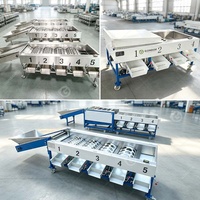 Industriële machine voor het sorteren van fruit, kersen, zure kastanjes, tomaten, grote aardappelen, dadels, kunstmatige sorteerinstallatie te koop