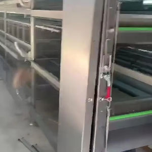 Yeni durum için otomatik çinko alüminyum magnezyum alaşımlı pil kafes tavuk <span class=keywords><strong>Coop</strong></span> <span class=keywords><strong>Pullet</strong></span> civciv katmanlı yuvalama yumurta kanatlı - Product Image 1