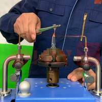 Remplissage et cachetage d'ampoule en verre de double tête de feu électrique de la Chine faisant le prix concurrentiel de machine