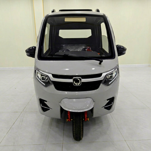 Triciclo de Pasajeros de Carrocería Cerrada, de Gasolina, 36V 200-250W, 3 Asientos, Reversa, Carga Útil de 100~200kg, Certificado Eec/Gcc/Dot, 30-50Km/h - Product Image 1