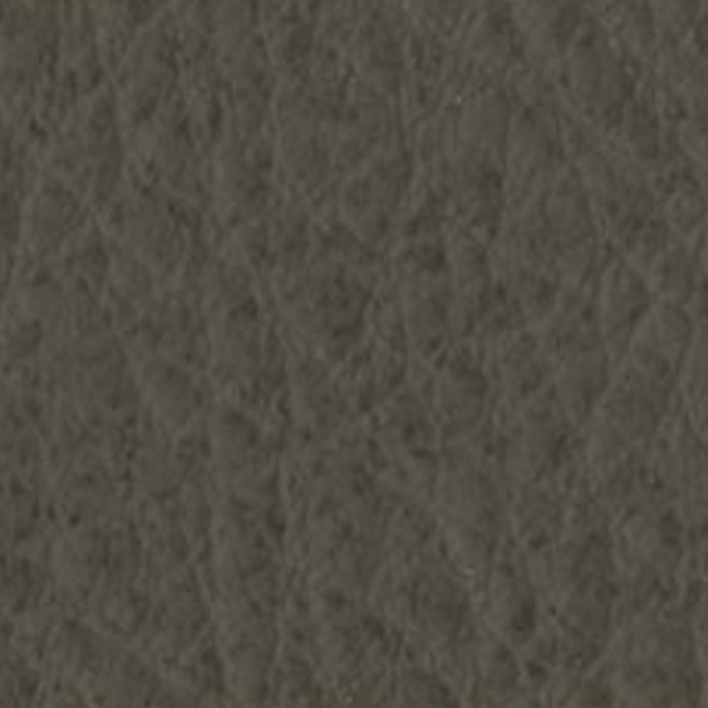17# Tree Brown