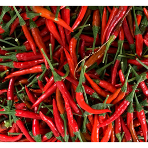 Chile fresco Precio bajo Especias individuales y hierbas Especias enteras Embalaje personalizado Agrícola en productos vietnamitas al por mayor - Product Image 5