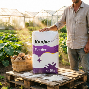 Poudre de konjac pure en vrac, qualité alimentaire, farine de konjac naturelle pour une alimentation saine - Product Image 5
