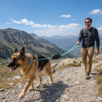Laisse Rétractable Automatique en Nylon PP ABS pour Chien, Réfléchissante Nocturne, Supporte 150 kg, Idéale pour la Promenade et l'Entraînement en Extérieur – Meilleure Vente