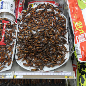 1.5 מפעל סיטונאי מעובד דק 2.5 ס "מ שחור מיובשים עבור זוחלים ועור מזון דגים ובריאות מעיל 3 חיי מדף בשנה - Product Image 6