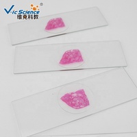 20pcs Human Oral Histology Slides Histology Slides Mouth Parts Microscope Oral Histology Slides