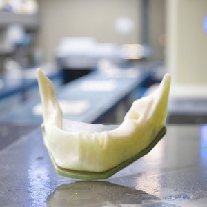 Modelo de hueso de mandíbula inferior de mandíbula anatómica Dental con dientes de mandíbula inferior de goma edéntulo <span class=keywords><strong>para</strong></span> estudio de práctica Dental - Product Image 4