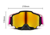 Vente en gros de lunettes de course BMX de haute qualité, logo personnalisé, lunettes de moto tout-terrain, lunettes de moto OEM