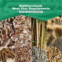 Petit moulin à granulés de biomasse de paille de scie à bois à haute productivité pour la fabrication d'écorce de riz, granulés dans le processus de Production