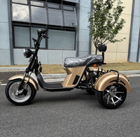 Motocicleta Eléctrica de Excelente Calidad, Triciclo Eléctrico de 3 Ruedas para Adultos, Triciclo Chopper de Tres Ruedas, Scooters de 4000w