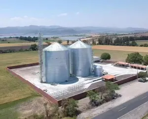 2000 5000 10000 Tons Flat Bottom Grain Silo For Wheat Maize Paddy Rice Storage Grain Silos For Sale