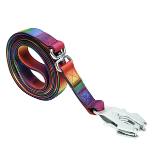 Heavy Duty <b>Rainbow</b> Nylon Dog Leash, Durable Metal Clip for Medium to Large Breeds - Product Image 2