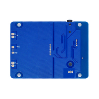 TPA3118 Carte amplificateur de puissance stéréo audio numérique sans fil 2x30W 8-26V Catégorie ICs