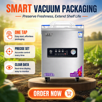 Selladora al Vacío Industrial de Una Cámara, de Acero Inoxidable, Automática, con Control Digital, para Envasado de Alimentos Líquidos/Sólidos en Bolsas de Papel